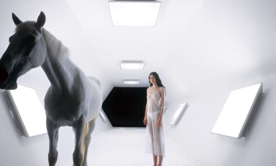 Modular Horse